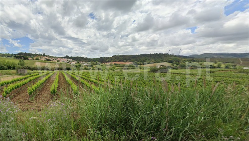 Terreno Rústico / Torres Vedras, Carvoeira e Carmões