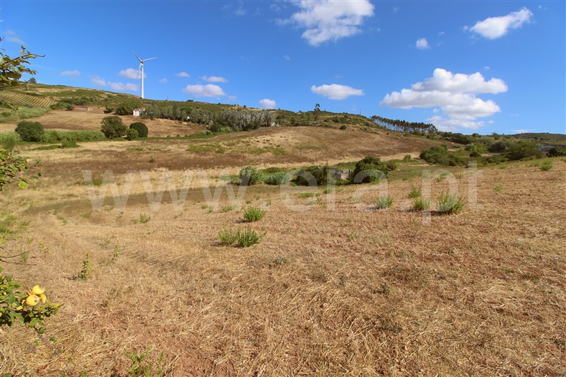 Terreno Rústico  Torres Vedras, Dois Portos e Runa - 1503142 - 3