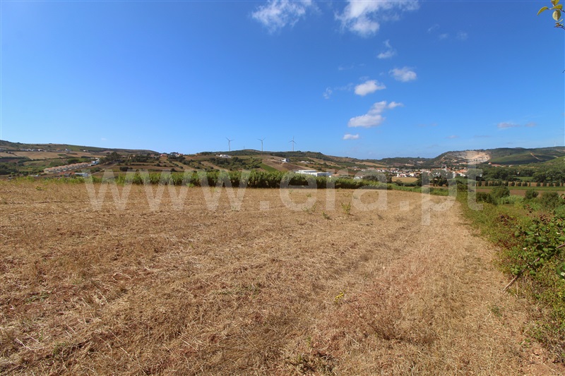 Terreno Rústico  Torres Vedras, Dois Portos e Runa - 1503142 - 6