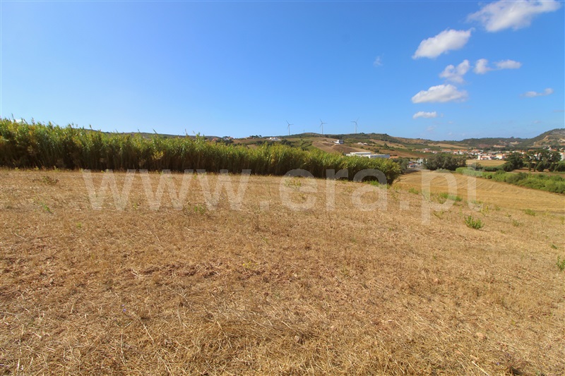 Terreno Rústico  Torres Vedras, Dois Portos e Runa - 1503142 - 7
