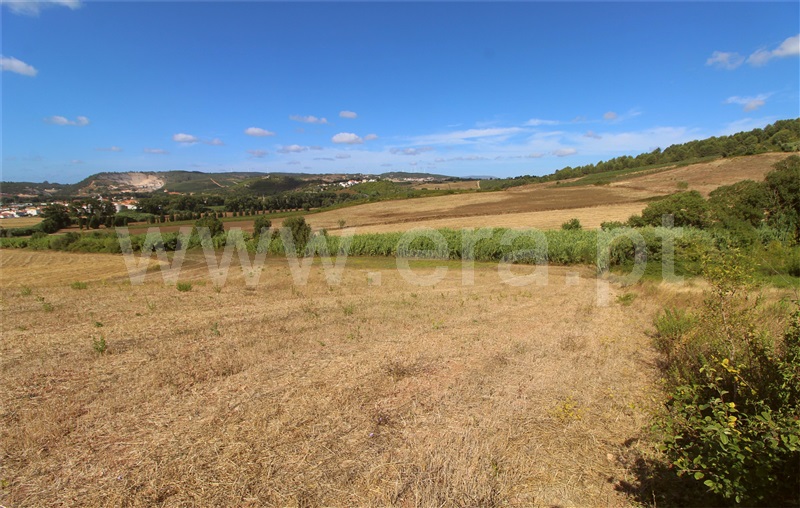Terreno Rústico  Torres Vedras, Dois Portos e Runa - 1503142 - 8