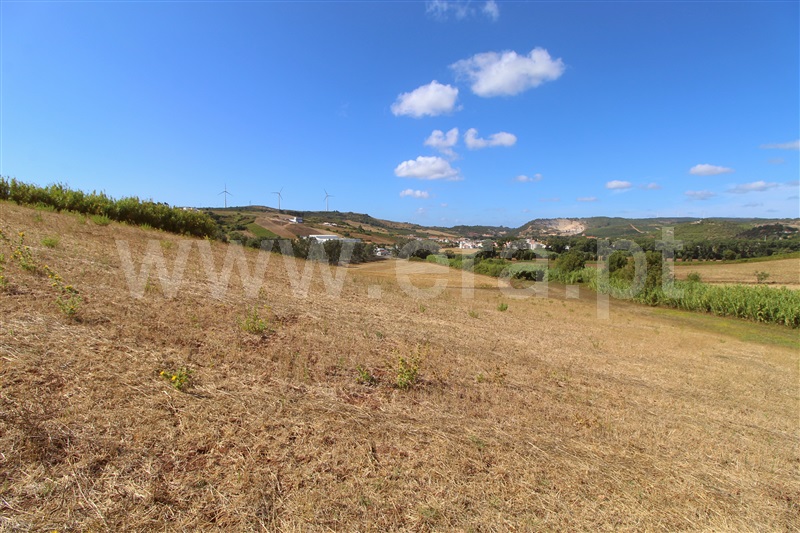 Terreno Rústico  Torres Vedras, Dois Portos e Runa - 1503142 - 9