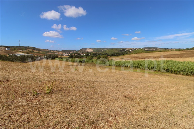 Terreno Rústico  Torres Vedras, Dois Portos e Runa - 1503142 - 10