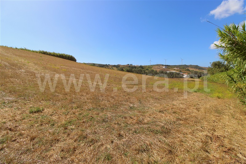 Terreno Rústico  Torres Vedras, Dois Portos e Runa - 1503142 - 11