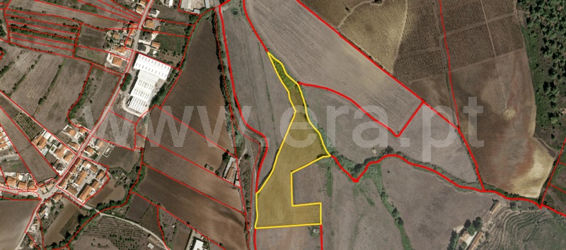 Terreno Rústico  Torres Vedras, Dois Portos e Runa - 1503142 - 11