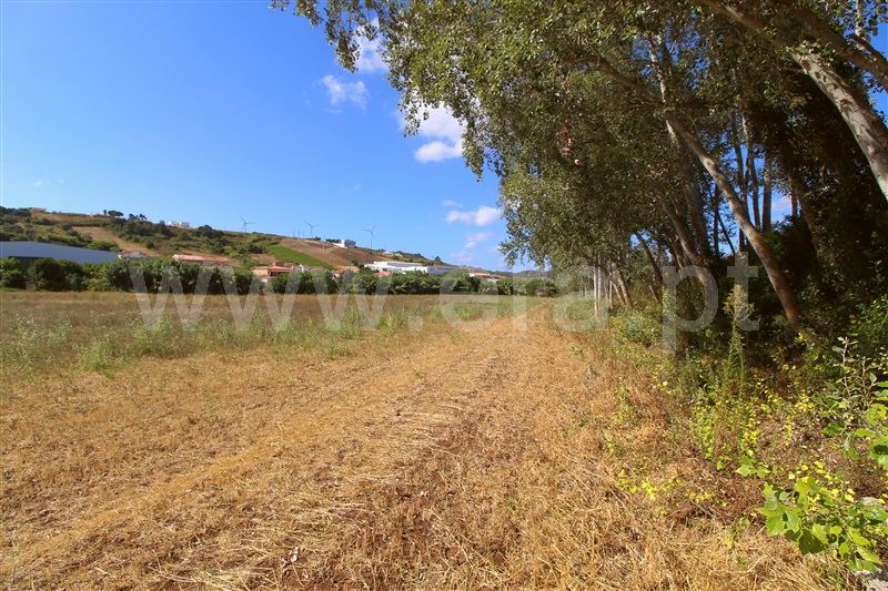 Terreno Rústico  Torres Vedras, Dois Portos e Runa - 1503143 - 3