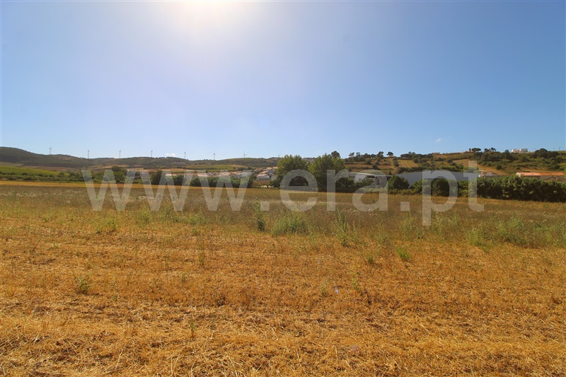 Terreno Rústico  Torres Vedras, Dois Portos e Runa - 1503143 - 5