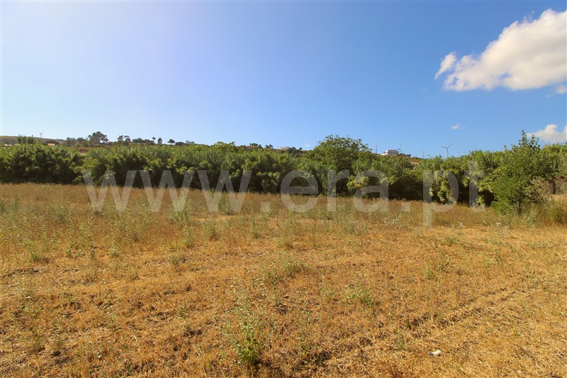 Terreno Rústico  Torres Vedras, Dois Portos e Runa - 1503143 - 6