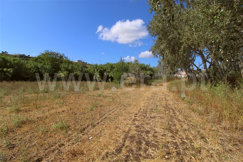 Terreno Rústico  Torres Vedras, Dois Portos e Runa - 1503143 - 7