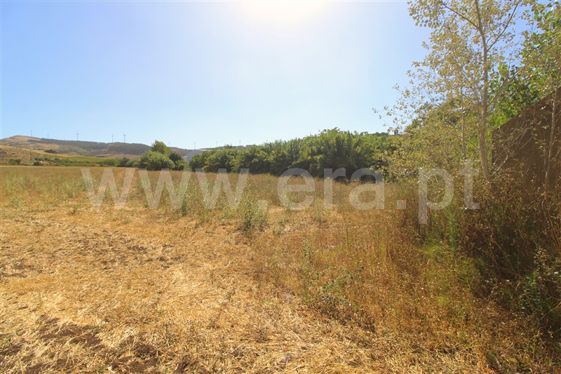 Terreno Rústico  Torres Vedras, Dois Portos e Runa - 1503143 - 8