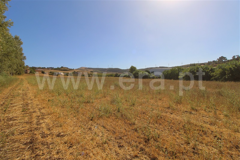 Terreno Rústico  Torres Vedras, Dois Portos e Runa - 1503143 - 9