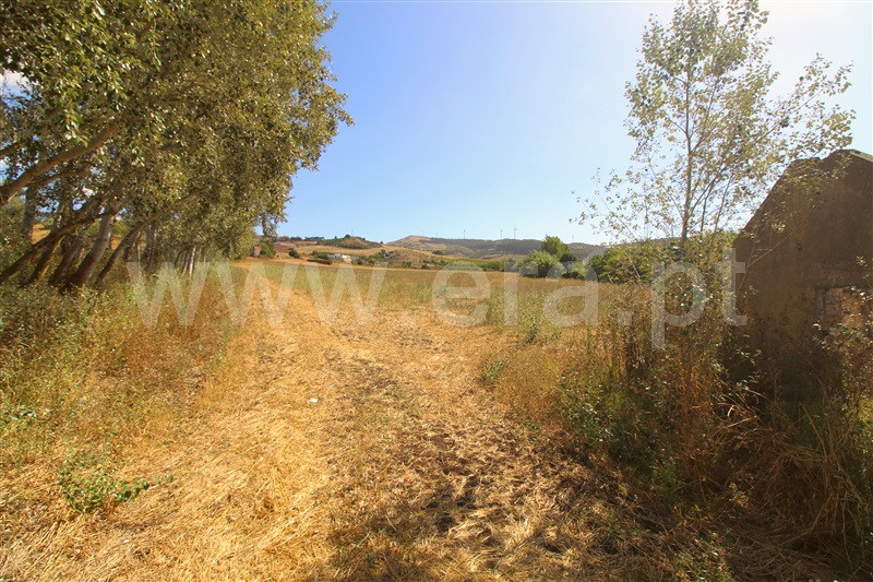 Terreno Rústico  Torres Vedras, Dois Portos e Runa - 1503143 - 10