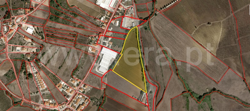 Terreno Rústico  Torres Vedras, Dois Portos e Runa - 1503143 - 11