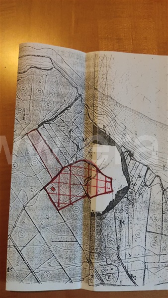 Terreno Rústico  Torres Vedras, São Pedro da Cadeira - 1476071 - 6