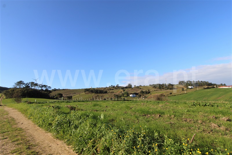 Terreno Rústico  Torres Vedras, Freiria - 1140882 - 4
