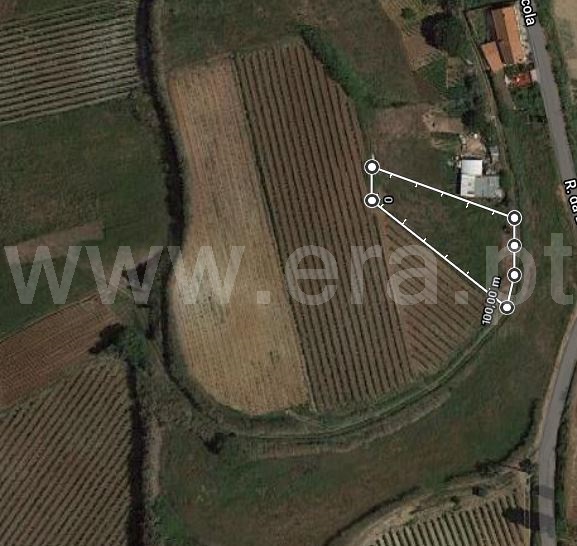 Terreno Rústico / Torres Vedras, Freiria
