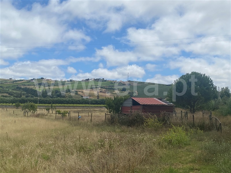 Terreno Rústico / Torres Vedras, Santa Maria, São Pedro e Matacães