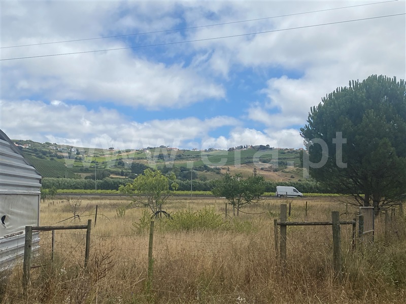 Terreno Rústico  Torres Vedras, Santa Maria, São Pedro e Matacães - 1494035 - 2