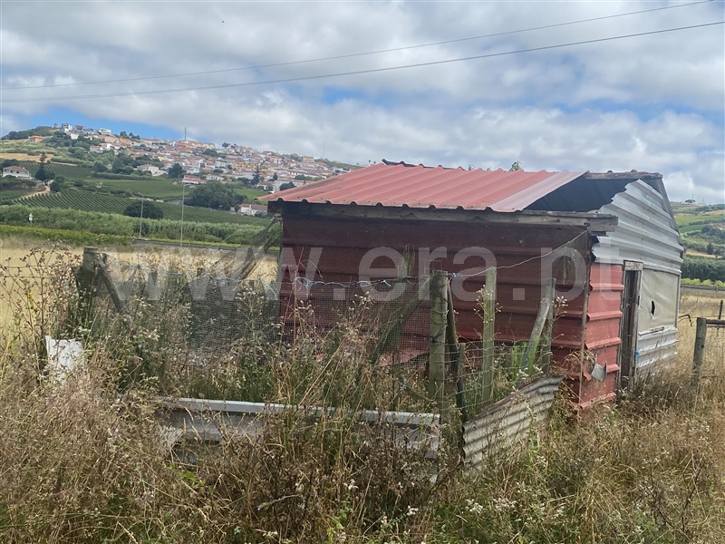 Terreno Rústico  Torres Vedras, Santa Maria, São Pedro e Matacães - 1494035 - 3