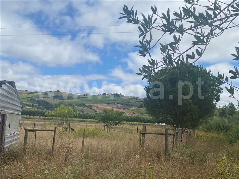 Terreno Rústico  Torres Vedras, Santa Maria, São Pedro e Matacães - 1494035 - 4