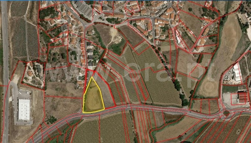 Terreno Rústico  Torres Vedras, Santa Maria, São Pedro e Matacães - 1494035 - 7