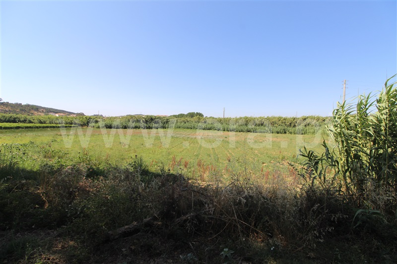 Terreno Rústico / Torres Vedras, Santa Maria, São Pedro e Matacães