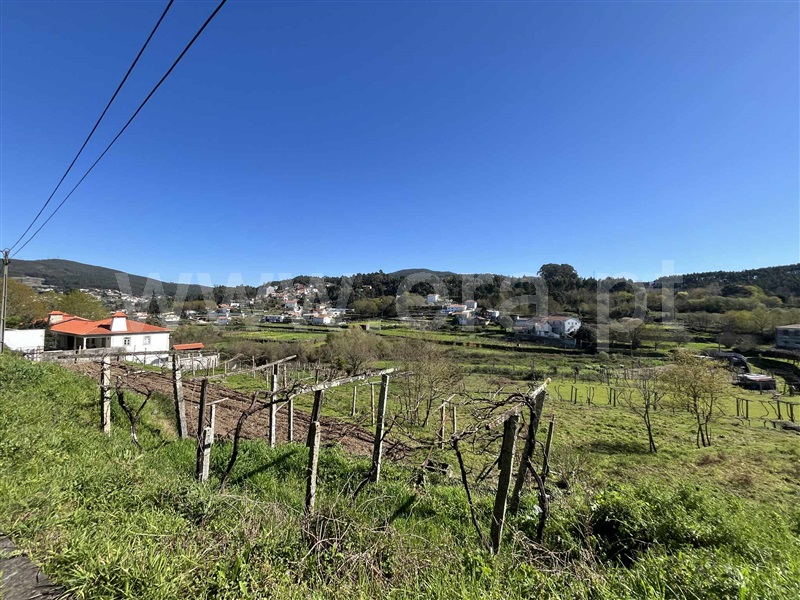 Terreno Rústico / Vale de Cambra, Macieira de Cambra