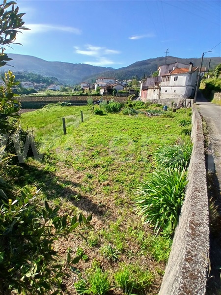Terreno Rústico / Vale de Cambra, São Pedro de Castelões