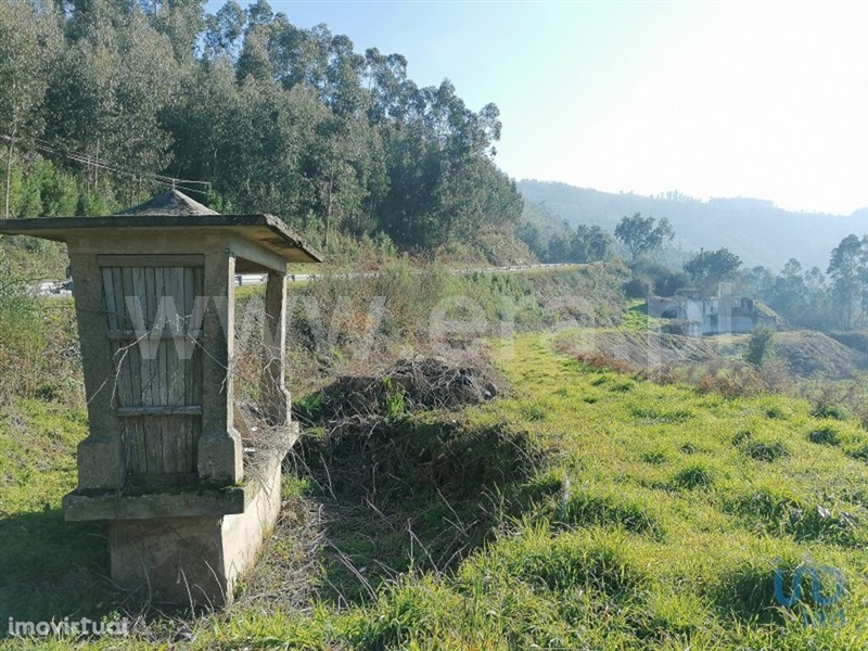 Terreno Rústico  Vale de Cambra, São Pedro de Castelões - 1495398 - 4