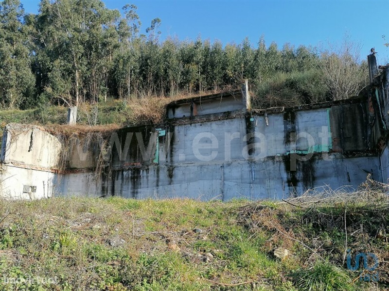 Terreno Rústico  Vale de Cambra, São Pedro de Castelões - 1495398 - 7