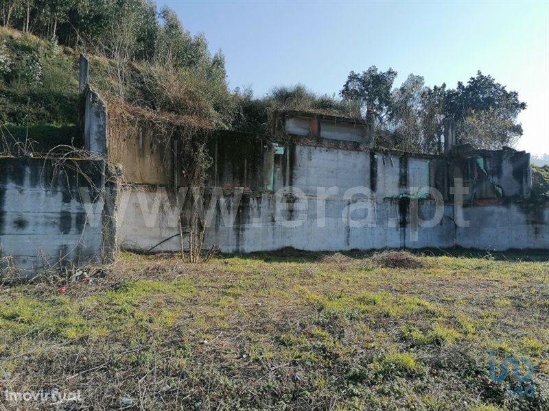 Terreno Rústico  Vale de Cambra, São Pedro de Castelões - 1495398 - 8