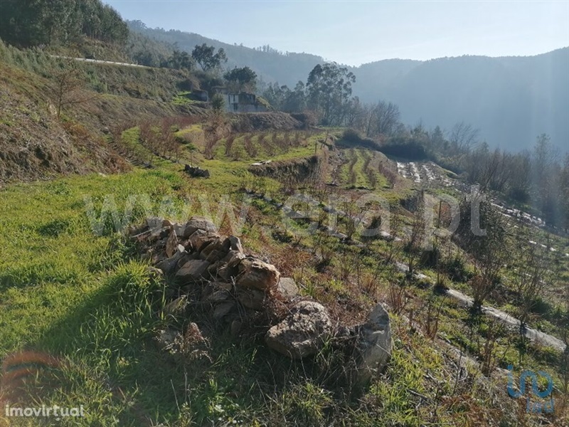 Terreno Rústico  Vale de Cambra, São Pedro de Castelões - 1495398 - 10