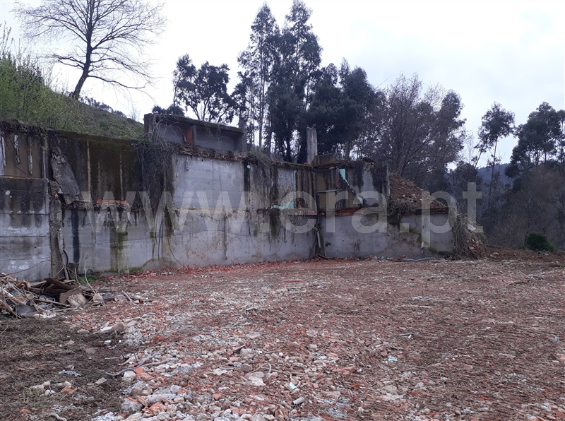 Terreno Rústico  Vale de Cambra, São Pedro de Castelões - 1495398 - 12
