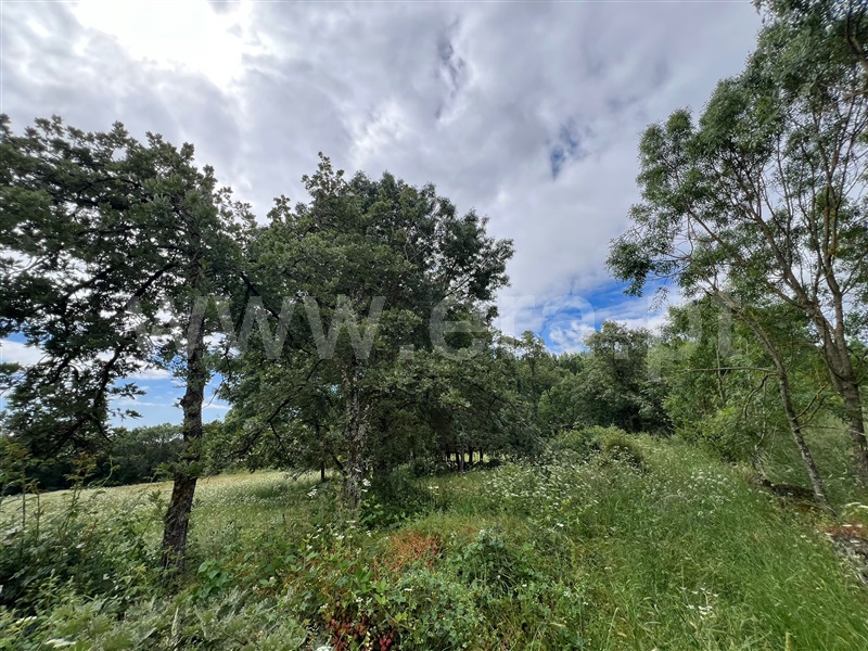 Terreno Rústico  Valpaços, Ervões - 1480141 - 3