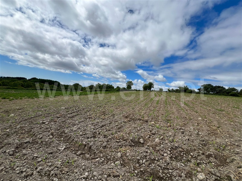 Terreno Rústico  Valpaços, Ervões - 1480154 - 5