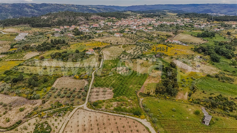 Terreno Rústico / Valpaços, Fornos do Pinhal