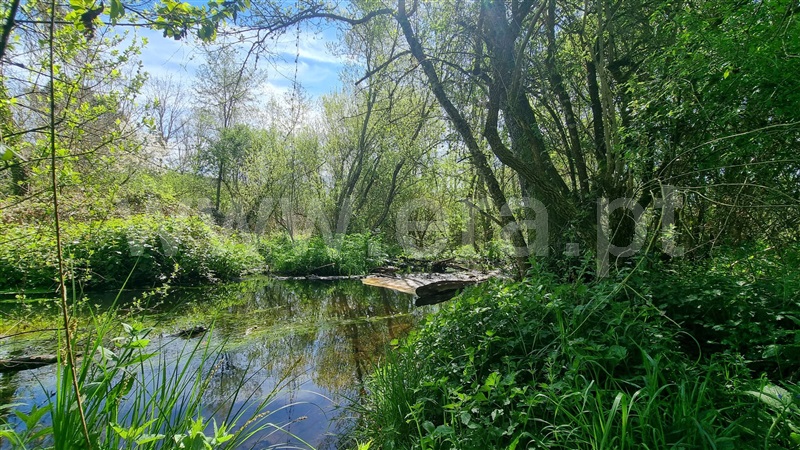 Terreno Rústico / Valpaços, Lebução, Fiães e Nozelos
