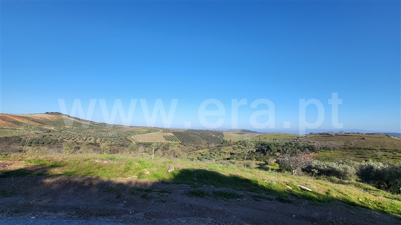 Terreno Rústico  com Agrícola Valpaços, Santa Maria de Emeres - 1378884 - 2