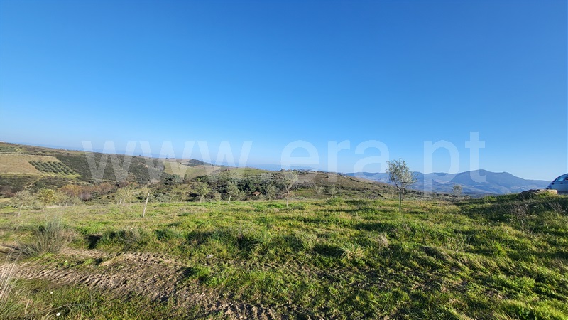 Terreno Rústico  com Agrícola Valpaços, Santa Maria de Emeres - 1378884 - 3