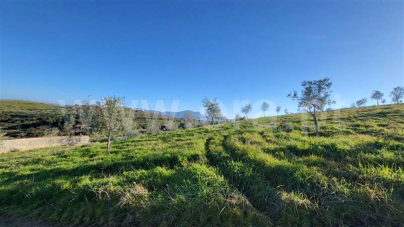 Terreno Rústico  com Agrícola Valpaços, Santa Maria de Emeres - 1378884 - 4