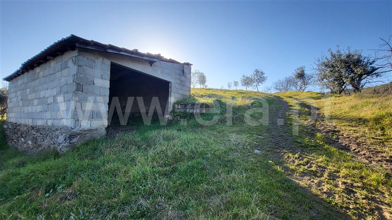Terreno Rústico  com Agrícola Valpaços, Santa Maria de Emeres - 1378884 - 6