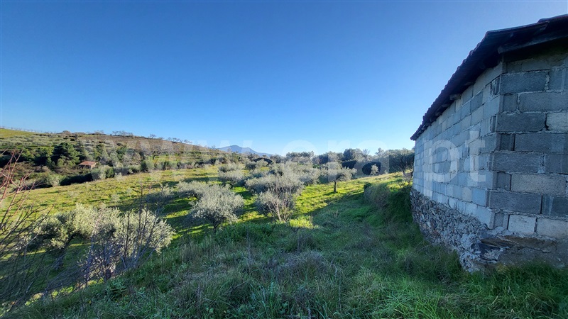 Terreno Rústico  com Agrícola Valpaços, Santa Maria de Emeres - 1378884 - 7