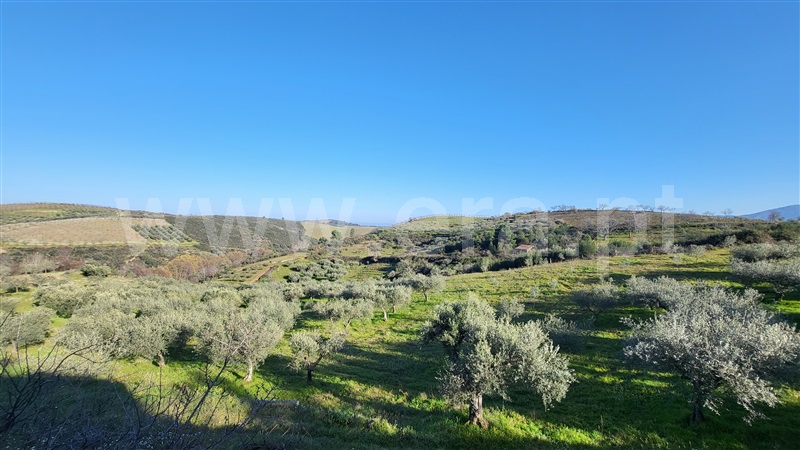 Terreno Rústico  com Agrícola Valpaços, Santa Maria de Emeres - 1378884 - 8