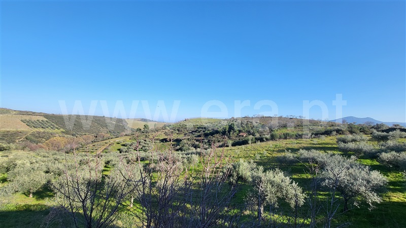 Terreno Rústico  com Agrícola Valpaços, Santa Maria de Emeres - 1378884 - 10