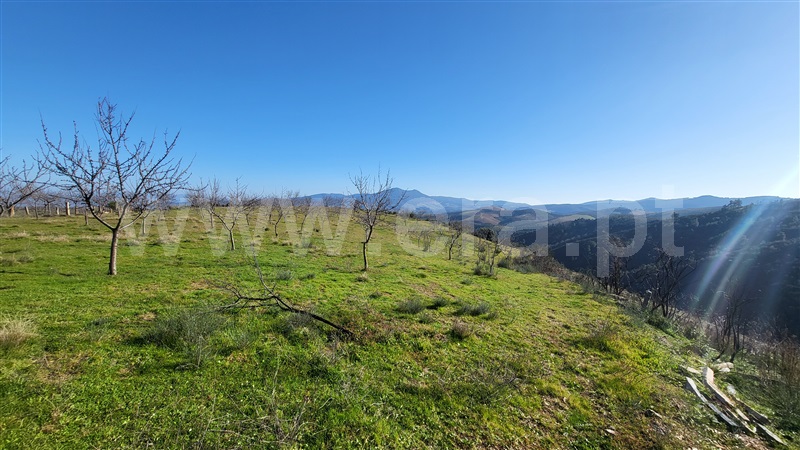 Terreno Rústico  com Agrícola Valpaços, Santa Maria de Emeres - 1378888 - 3