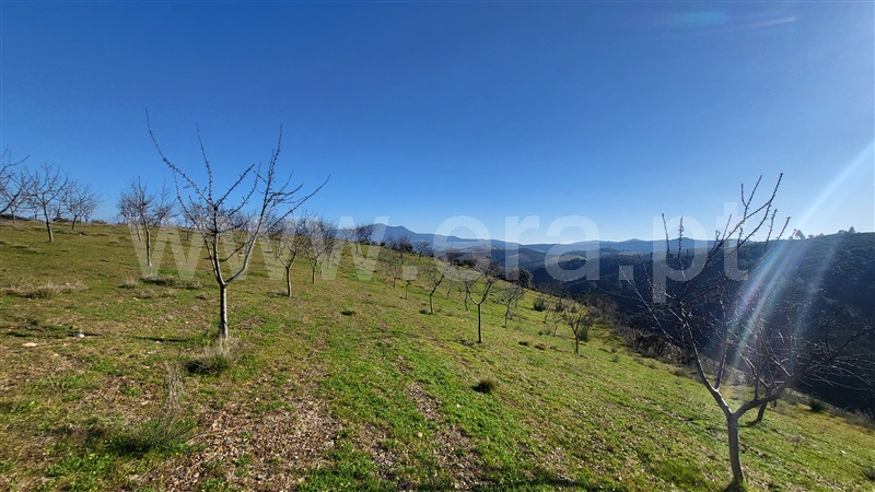 Terreno Rústico  com Agrícola Valpaços, Santa Maria de Emeres - 1378888 - 4