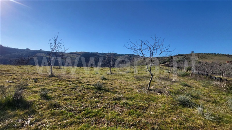 Terreno Rústico  com Agrícola Valpaços, Santa Maria de Emeres - 1378888 - 7
