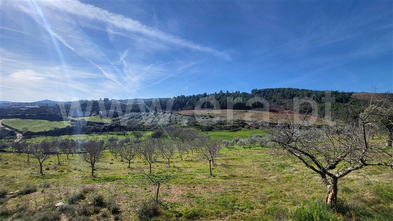 Terreno Rústico  com Agrícola Valpaços, Santa Maria de Emeres - 1378893 - 8