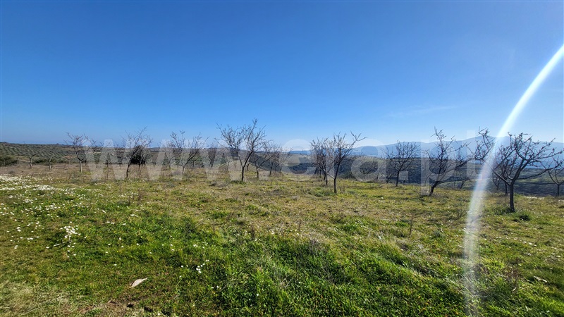 Terreno Rústico  com Agrícola Valpaços, Santa Maria de Emeres - 1378905 - 2