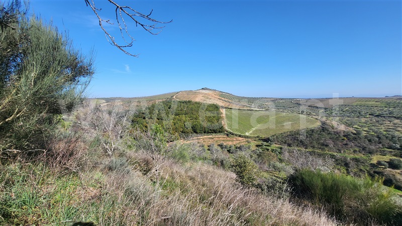 Terreno Rústico  com Agrícola Valpaços, Santa Maria de Emeres - 1378905 - 4
